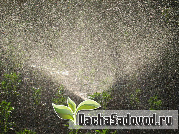 Система полива - Строим систему полива на даче своими руками - Подача воды в сад и огород - DachaSadovod.ru