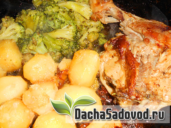 Рецепт жаренный куриный окорочок с гарниром из капусты брокколи и молодого картофеля - DachaSadovod.ru