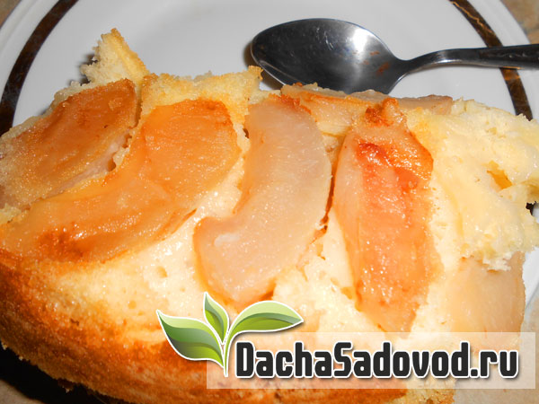 Шарлотка из яблок - Приготовление в домашних условиях яблочной шарлотки - DachaSadovod.ru