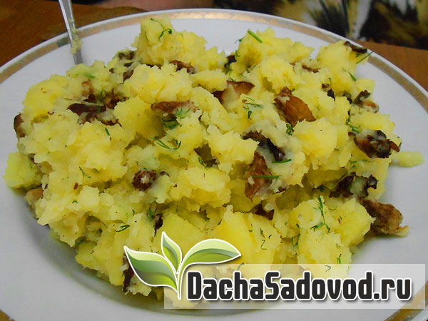 Рецепт картофель молодой с жареными лесными грибами - DachaSadovod.ru