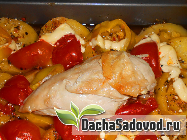 Рецепт куриная грудка с овощами - Приготовление куриной грудки с овощами в духовом шкафу - DachaSadovod.ru