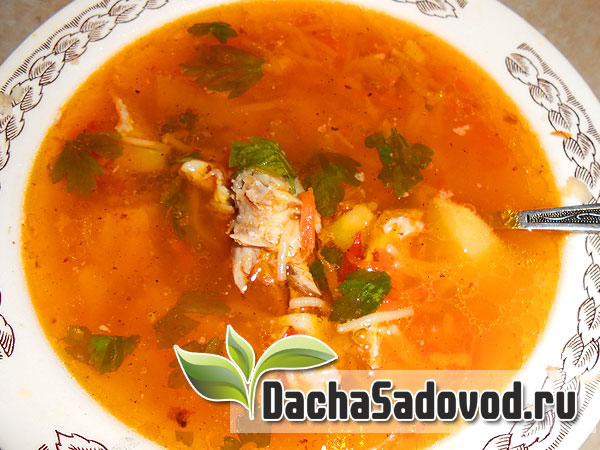 Рецепт суп из курицы вермишели и помидоров - Приготовление самого быстрого супа - DachaSadovod.ru