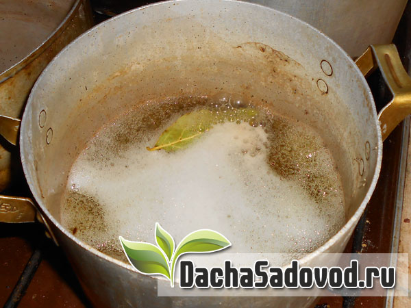 Рецепт помидоры солёные - Засолка помидоров классическим способом - DachaSadovod.ru
